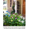 thumbnail image 3 of 2 Bundle 8 Lily Led Outdoor Solar Flower Garden Stake Multi-color Changing Lights - Multicolor Solar Lights Outdoor Decorative Stakes -solar Garden St, 3 of 5