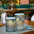 thumbnail image 6 of Electronic Candles Light Combination 3x5In, 3x4In Flameless Candles Plastic Festive Decoration Party Christmas Decoration A Cat, 6 of 7