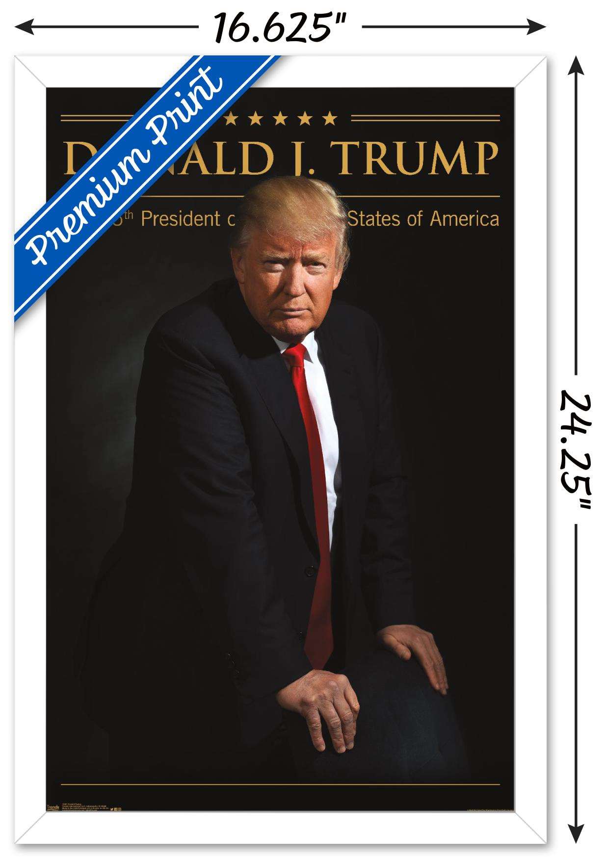 President Donald Trump Wall Poster, 14.725" x 22.375", Framed