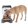 thumbnail image 2 of Alimentador Pet Cafe 6 Lb (2.7 Kg) Petmate 2.7 kg, 2 of 2