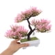 thumbnail image 5 of TEHAUX 2Ud Planta Decorativa Falsa De Bonsái Para Estanterías Y Mesas Con Simulación, 5 of 6