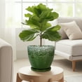 thumbnail image 3 of Ordivic 6 inch Green Ceramic Plant Pot with Drainage Hole & Saucer,Decorative Indoor Planter for African Violet & Air Plants, 3 of 8