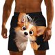 thumbnail image 2 of Pantalones de Cintura Elásticos con Cordón para Hombres, Desgaste Casual Y Cómodo, Tela Ligera Y Transpirable, Ideal para Días de Playa, Entrenamientos, Errores, Relajación en Casa, 2 of 3