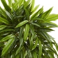 thumbnail image 4 of Nearly Natural 5502 Mangue Mince Artificielle Résistante aux UV, 4 of 10