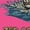 Neon Pink, variant on Unleash Your Savage Spirit: Fishing & Beach Tee's Multi Color Options