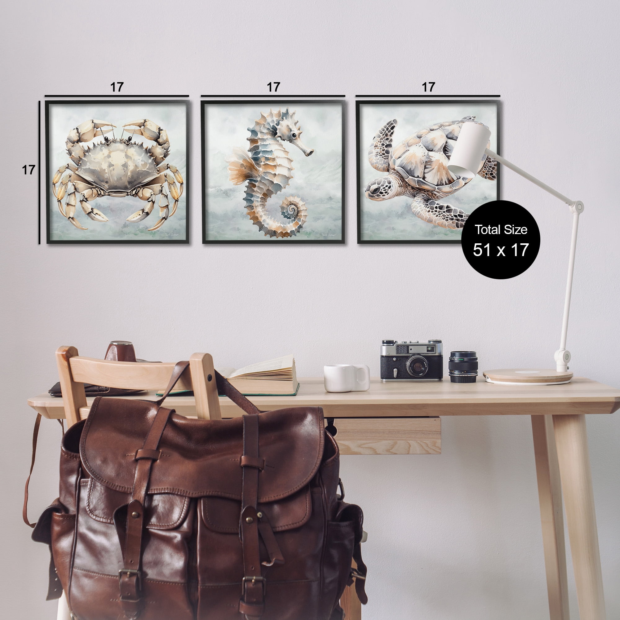 Stupell Industries Traditional Marine Life Animals & Insects Painting Black Framed Art Print Wall Art, 17 x 17, Set of 3
