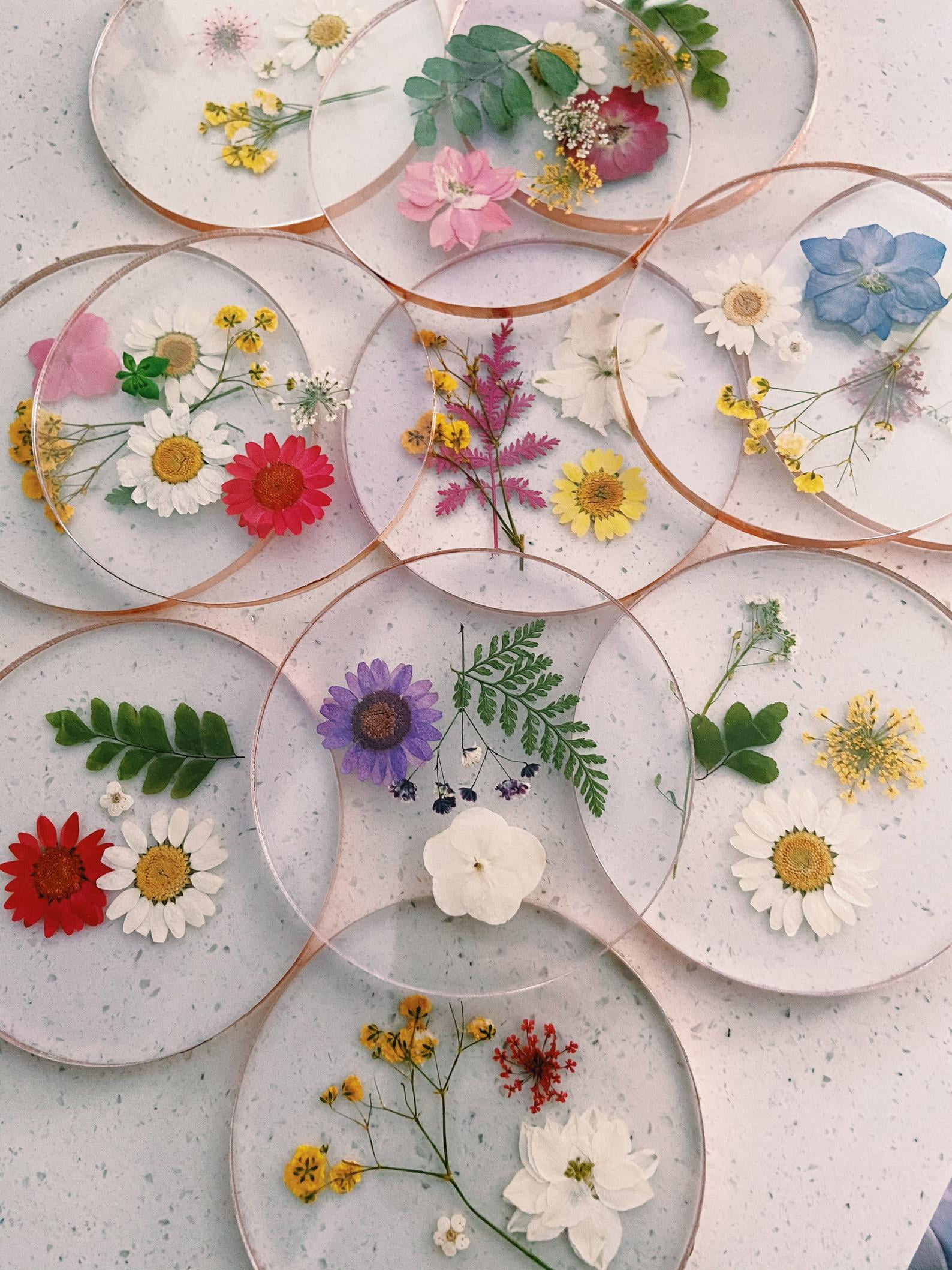 Japanese Classical Art 6 Pieces Flowers & Birds Coasters 