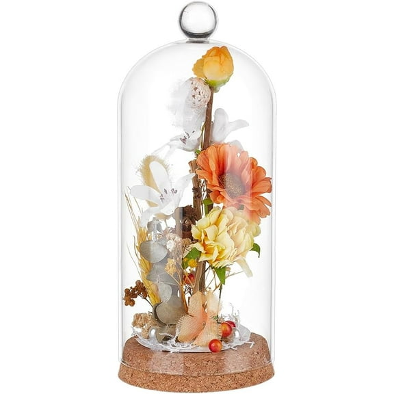 Glass Display Dome Cloche with Round Top Handle 8x3.5inch Dome Decorative Jars Glass Cover with Cork Base