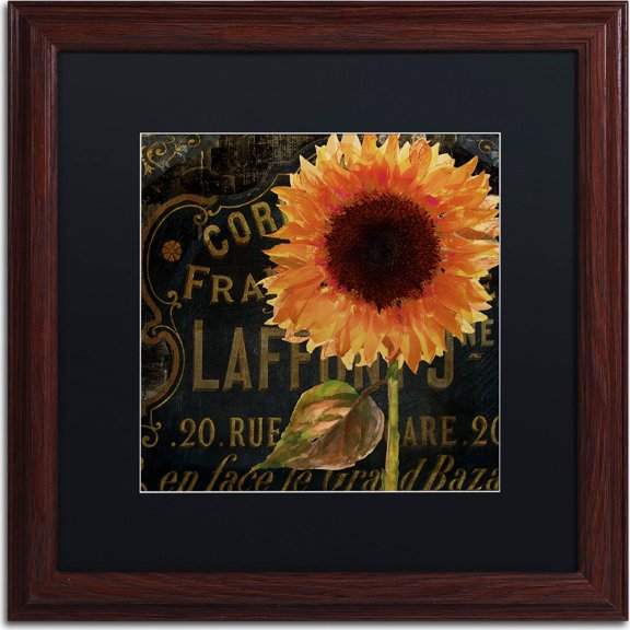 Trademark Fine Art "Sunflower Salon II" Canvas Art by Color Bakery, Black Matte, Wood Frame