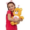 thumbnail image 7 of Care Bears Birthday Bear Plush 16", 7 of 7