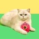 thumbnail image 1 of Juguete de bola de hierba gatera Fernando para Gatos, 1 of 8