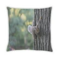 thumbnail image 2 of Ahgly Company Animals Squirrel Indoor Throw Pillow, 18 inch by 18 inch, 2 of 6
