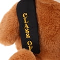 thumbnail image 4 of Large Class of 2026 Bear Plush, Brown and Black, Graduation by Way To Celebrate, 4 of 6