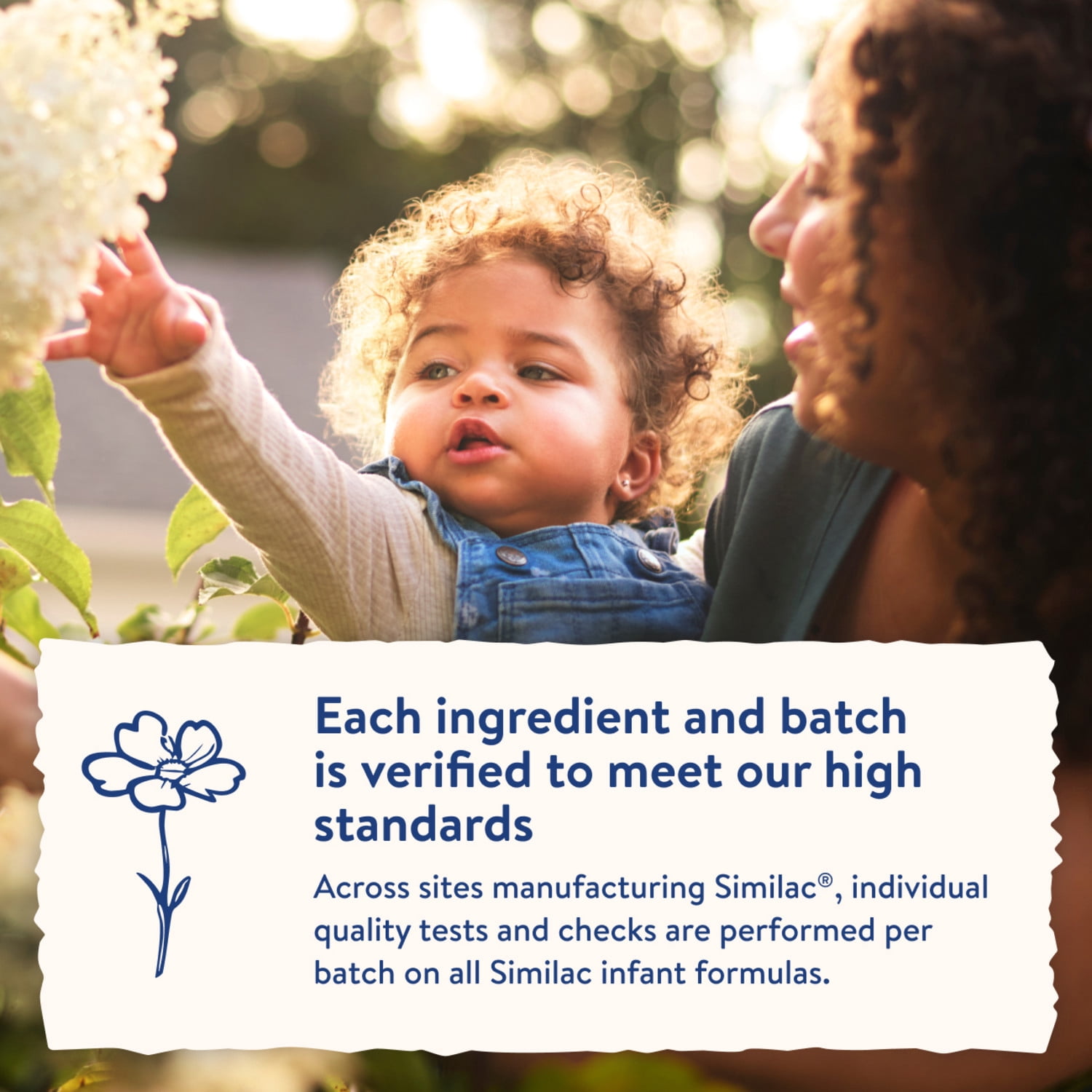 Similac Dual Prebiotic Blend Powder Baby Formula, 0-12 Months, 30.8-oz Can