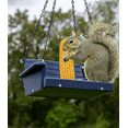 thumbnail image 2 of JCs Wildlife Poly Lumber Squirrel Swing (Blue), 2 of 6
