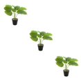 thumbnail image 2 of Bewildely ABS tortuga en maceta plantas falsas bajo mantenimiento hojas artificiales para el hogar Oficina sala de estar JH5475 Type1 NO1, 2 of 6