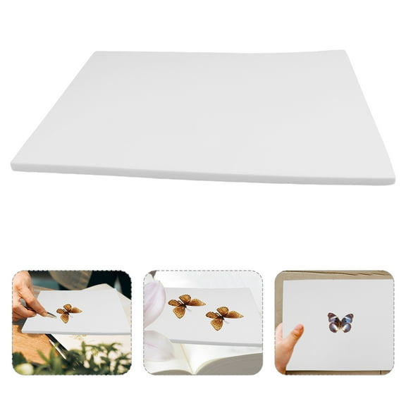 Insect Pinning Board Specimen Display Board Foam Labs Boards Butterfly Mounting Board Specimen Wings Spreading Board For Science Education