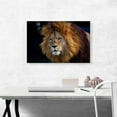 thumbnail image 2 of ARTCANVAS Lion Home Decor Rectangle Canvas Art Print - Size: 26" x 18" (0.75" Deep), 2 of 9