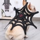 thumbnail image 4 of Decoraciones de Halloween, adornos de Halloween, regalos de Halloween, disfraz de gato o perro de Halloween, disfraz de araña para mascota, accesorios de cosplay, decoración de Halloween para mascotas, 4 of 8