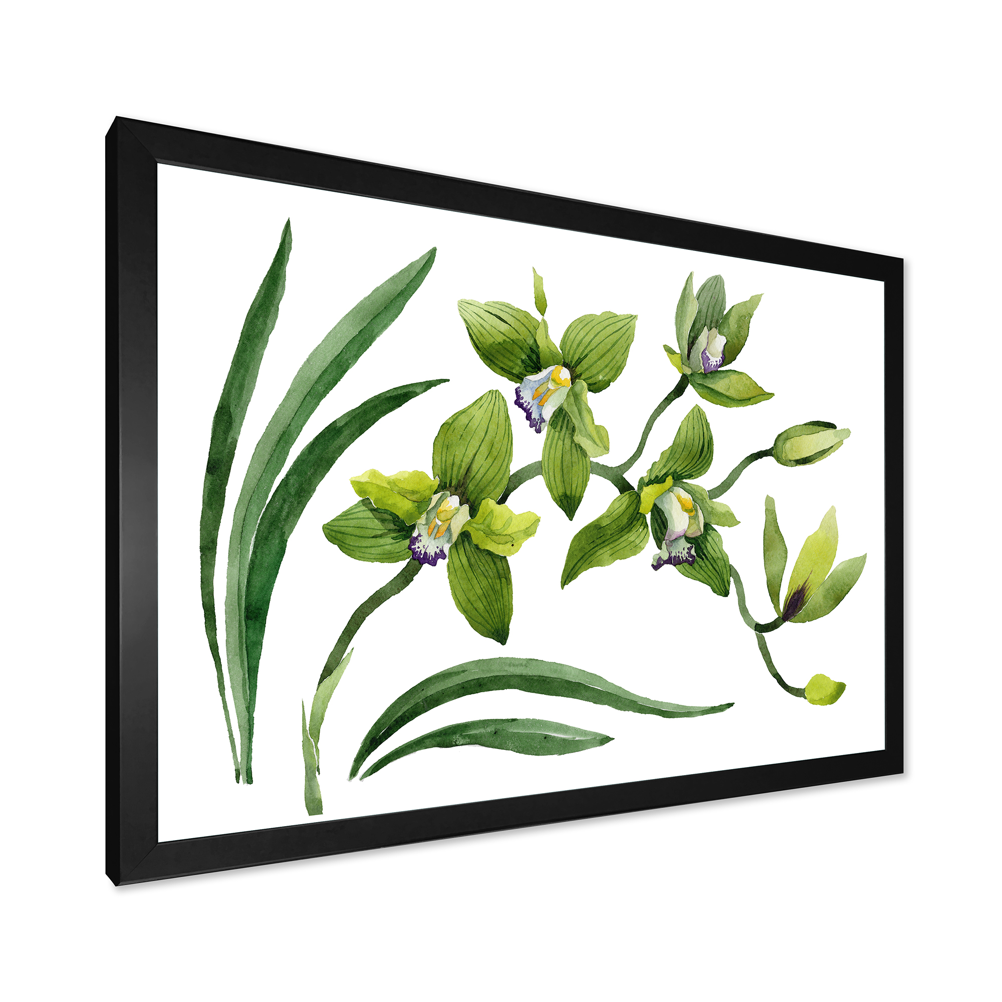Designart 'Green Orchid Flowers On White' Traditional Framed Art Print