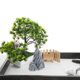 thumbnail image 4 of unbranded 4Ud Ornamentos Artificiales En Resina Para Jardín Bonsái Y Natural En Interiores, 4 of 8
