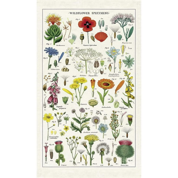 Cavallini Wildflowers Tea Towel, Multicolor