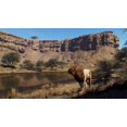 thumbnail image 4 of WAY OF THE HUNTER: WILD EXPEDITIONS POUR (PS5), 4 of 9