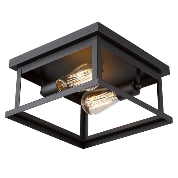 Emliviar Flush Mount Light Fixture, 2-Light 11" Ceiling Light in Black Finish, 1803EW1-F1 BK