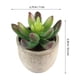 thumbnail image 2 of unbranded Planta Falsa De Material Premium Para De Estante Y Ventana, 2 of 5