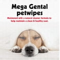 thumbnail image 6 of Petkin - Mega Wipes 200 - Germ, 6 of 7