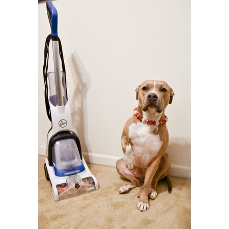 Hoover - PowerDash Corded Upright Deep Cleaner - White/Blue