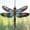 Radiant Prism, variant on Dragonfly Gifts for Women, Dragonflies Decor Suncatcher Effect, Dragon Fly Stained Glass Effect, Dragonfly Ornaments for Christmas Tree Decoration, for Mom (Radiant Prism)