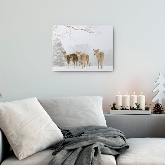 Northlight Fiber Optic Lighted Winter Woods with Deer Canvas Wall Art - 11.75" x 15.75"
