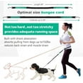 thumbnail image 4 of LAICAIW Laisse pour Chien Mains Libres pour Course Marche Entraînement Randonnée, Élastique Réfléchissant à Double Poignée, Pochette Distributrice de Sac à Excréments, Ceinture de Taille Ajustable, Absorption des Chocs, Idéal pour Chiens Moyens à Grands, Bla, 4 of 7