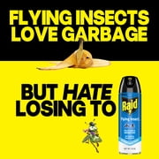 Raid Flying Insect Killer Bug Spray, Kill Flies & Other Bugs Indoors & Outdoors, 15 oz, 2 Count