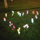 thumbnail image 4 of Paquete de 2 luces solares de estaca para jardín, multicolor para exteriores, 4 of 4