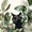 Black Cat, variant on UXIEQU Enchanted Forest Willow Tree Firefly Canvas Wall Art 15.75x11.81 Inches