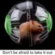 thumbnail image 3 of Methold Pelota de ejercicio, juguetes de animales, juguetes rodantes, accesorios para correr perforados de plástico Juguetes de animales pequeños verde, 3 of 6