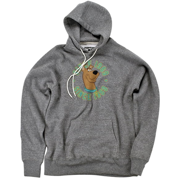 Scooby Doo Scooby 1969 Unisex Adult Slim Fit Pull-Over Heather Hoodie, Athletic Heather, Small