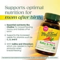 thumbnail image 5 of MegaFood Baby & Me 2 Postnatal Multi - Folate, Choline, Iodine, Vitamin D3 - 30 Servings, 5 of 10