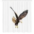 thumbnail image 3 of Ambesonne Eagle Shower Curtain, Predator and Prey Scene, 69"Wx75"L, Cream Dark Brown Yellow, 3 of 3