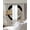Gray, variant on Japanese Style Blackout Curtains for Bedroom/Living Room, Thermal Insulated Kitchen Curtains, Grey Farmhouse Owl Birds Branches Grommet Darkening Window Treatment Drapes 42"x63"x2
