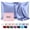 Cornflower Blue, variant on Silk Pillow Cases with Zipper, Pillow Case,Silver Gray,Standard,1pc