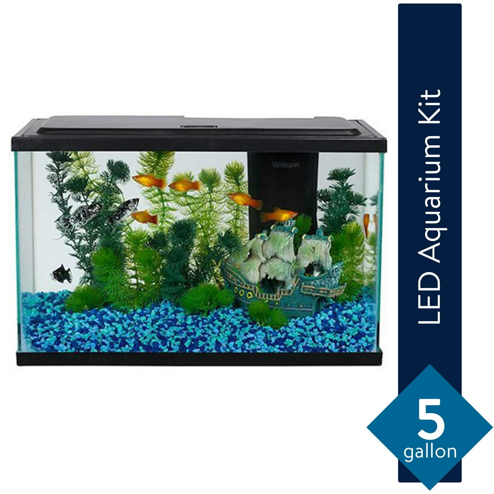 Aqua Culture 5Gallon Fish Tank LED Aquarium Starter Kit
