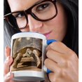 thumbnail image 2 of Radiated Tortoise Painted Shell, Madagascar-Af24 Jmc0000 - Joe And Mary Ann Mcdonald, 11oz Two-Tone Blue Mug, 2 of 7