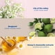 thumbnail image 4 of Perfume para Bebés Mustela Musti Spray a Base de Plantas 53 ml, 4 of 8