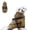Beige, variant on Small Dog Raincoat Harness,Waterproof Dog Rain Jacket with Harness,Reflective Stripes Pet Poncho Slicker Coat for Small Dog Puppy Beige M