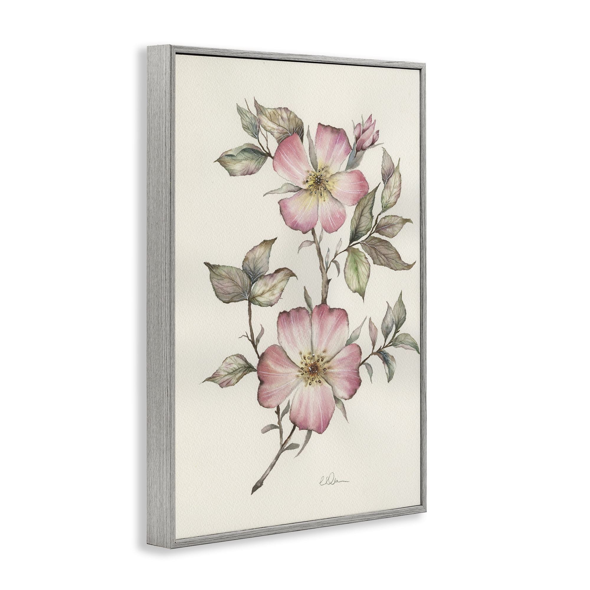 Stupell Industries Two Flowers Natural Study Gray Framed Giclee Art, design by Cady Driver