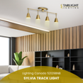 thumbnail image 2 of Kichler Sylvia 4-Light Adjustable Rail Light with Metal Shades, Mid-Century, 2 of 7