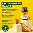 thumbnail image 5 of MegaFood Superfood Mushroom Energy Support - Cordyceps, Vitamin B12, Ginseng - 30 Servings, 5 of 8